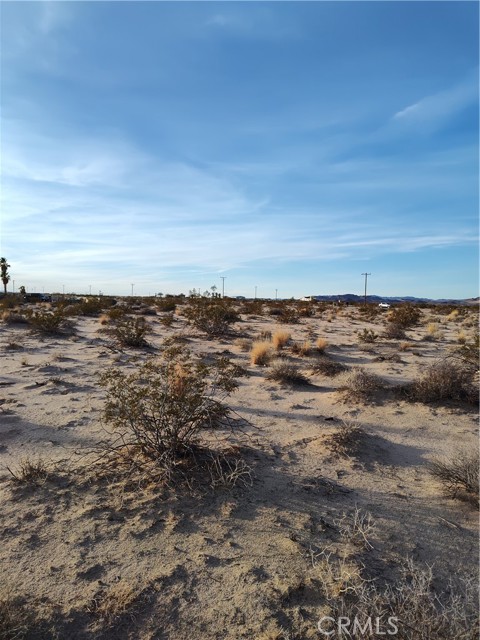 Image 3 for 80235 Amboy Rd, 29 Palms, CA 92277