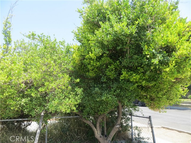 Detail Gallery Image 35 of 35 For 9525 Stanwin Ave, Arleta,  CA 91331 - 3 Beds | 2 Baths