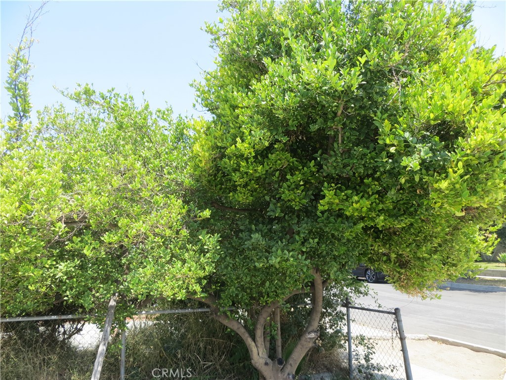 https://media.crmls.org/medias/0cf5e5e1-a2e0-425d-8aad-05f33a63f15b.jpg?preset=X-Large