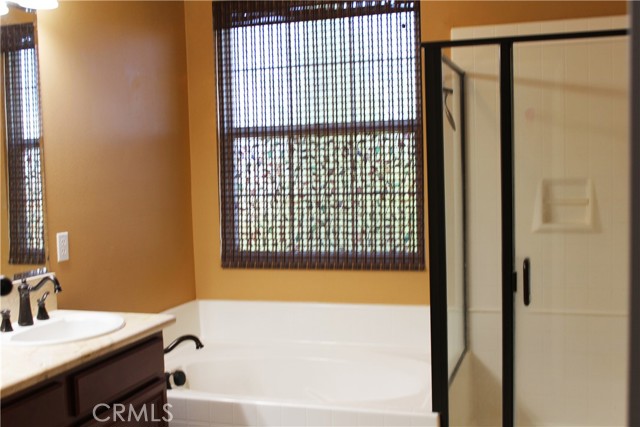 Primary bath tub and separate shower