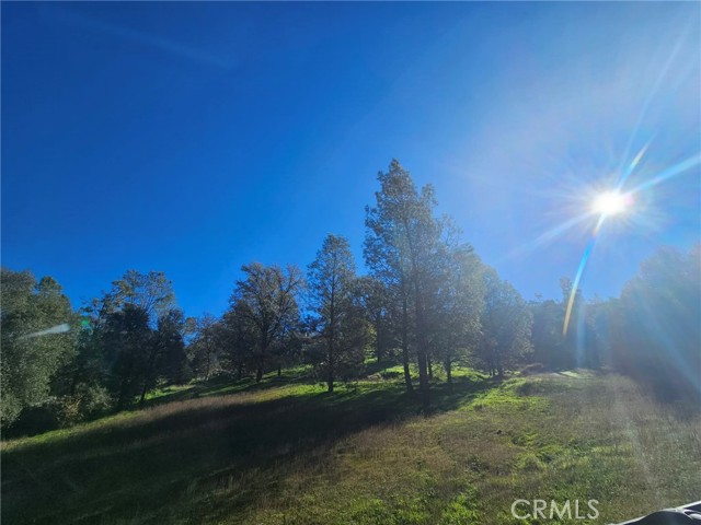 Detail Gallery Image 30 of 49 For 50814 Road 200, O Neals,  CA 93645 - 3 Beds | 3 Baths