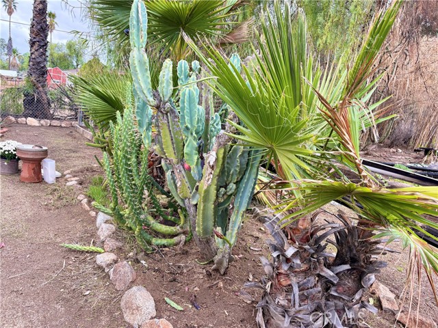 Detail Gallery Image 22 of 32 For 33510 Beverly, Hemet,  CA 92545 - – Beds | – Baths