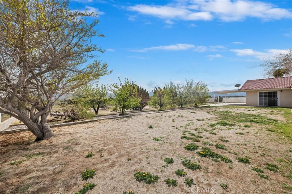 MLS #CV25073596 image #42