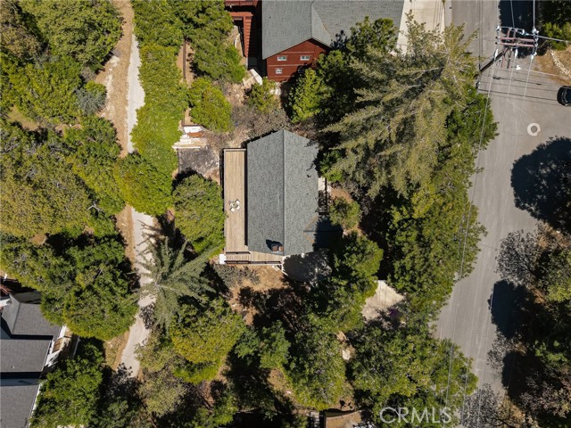 Detail Gallery Image 36 of 42 For 784 Bishorn Dr, Lake Arrowhead,  CA 92352 - 4 Beds | 2 Baths