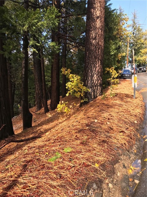 304 Emerald, Lake Arrowhead, CA, 92352 304 Emerald, Lake Arrowhead, CA, 92352
