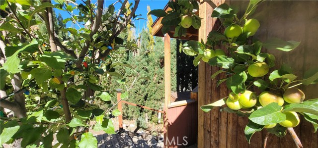 Detail Gallery Image 66 of 75 For 1317 Pinetree, Frazier Park,  CA 93225 - 3 Beds | 2 Baths