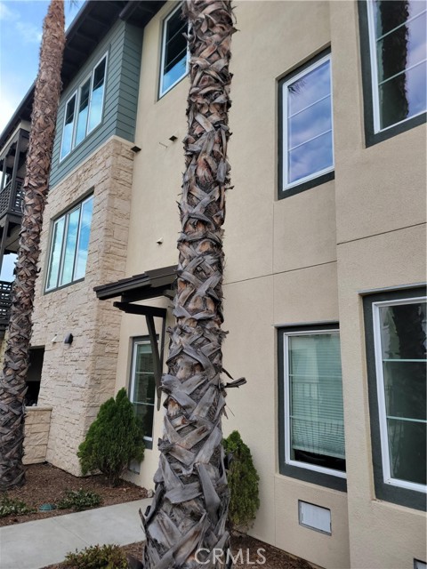 Detail Gallery Image 32 of 39 For 325 Doheny Way, Dana Point,  CA 92629 - 3 Beds | 2 Baths