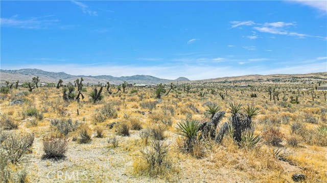 Detail Gallery Image 10 of 13 For 0 Hercules, Apple Valley,  CA 92307 - – Beds | – Baths