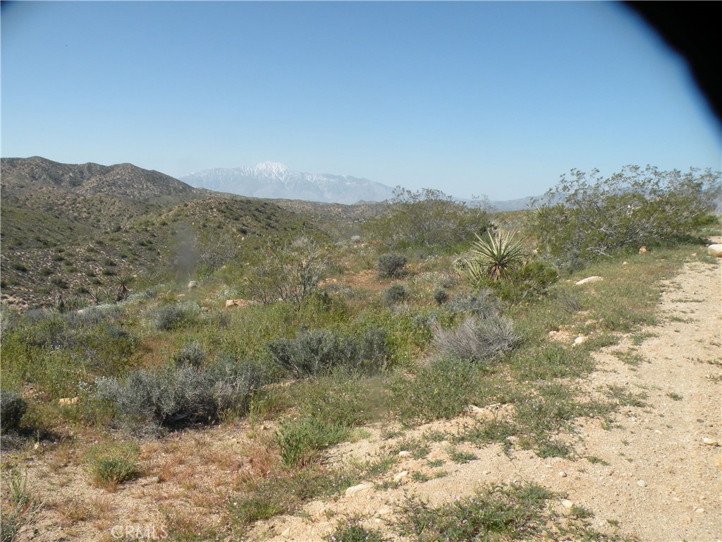 MLS #AR24255987 image #1