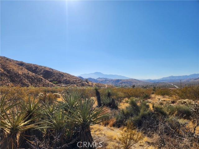 Detail Gallery Image 8 of 18 For 29 Palms Hwy, Morongo Valley,  CA 92256 - – Beds | – Baths