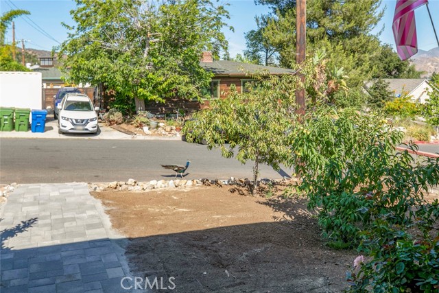 Detail Gallery Image 43 of 54 For 10150 Mcvine Ave, Los Angeles,  CA 91040 - 3 Beds | 2 Baths