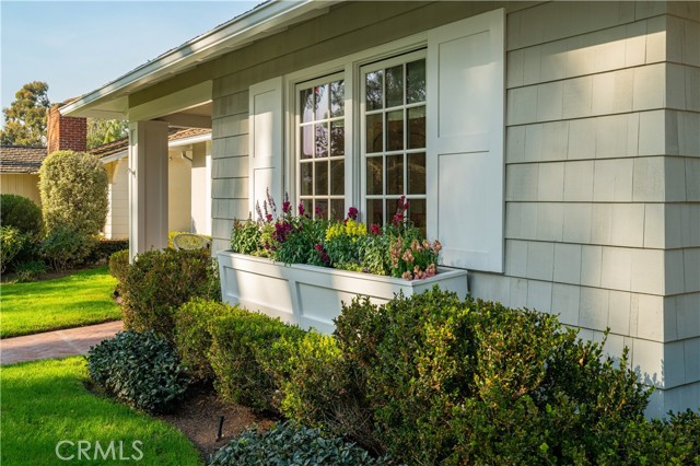 Designer planter box beneath window