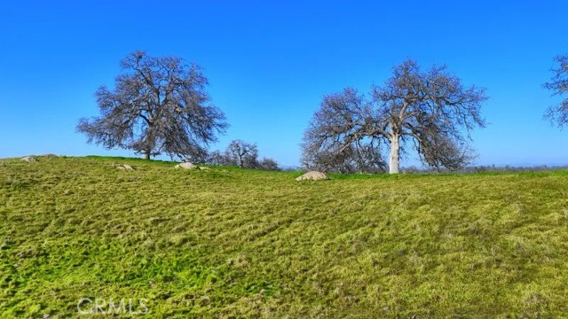 Detail Gallery Image 11 of 22 For 0 103.8 Ac Highway 41, Madera,  CA 93636 - – Beds | – Baths