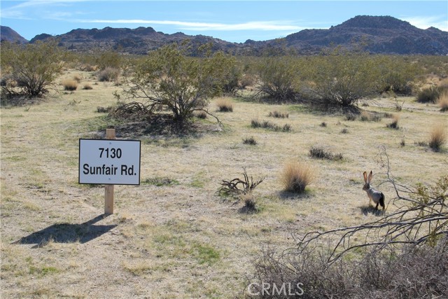 Detail Gallery Image 2 of 11 For 7130 Sunfair Rd, Joshua Tree,  CA 92252 - – Beds | – Baths