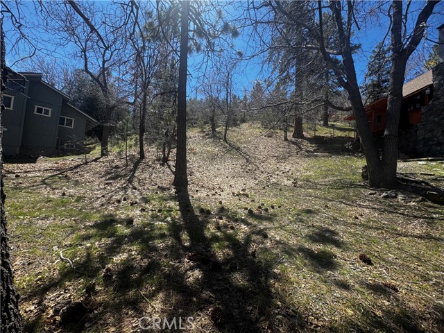 Detail Gallery Image 8 of 15 For 0 Oriole Rd, Wrightwood,  CA 92397 - – Beds | – Baths