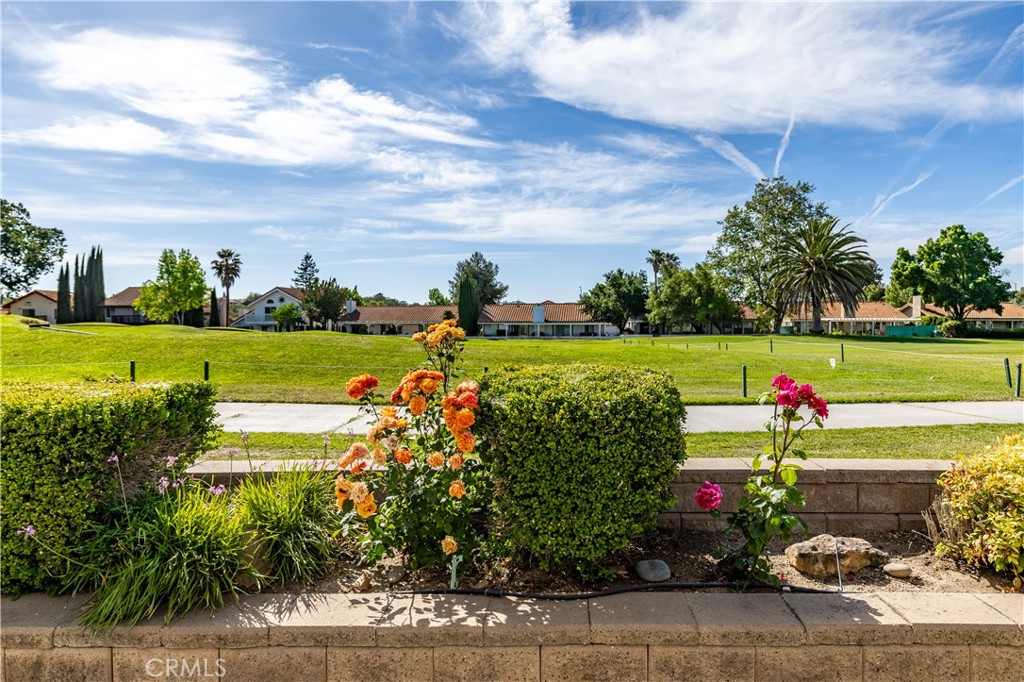 917 Saint Ann