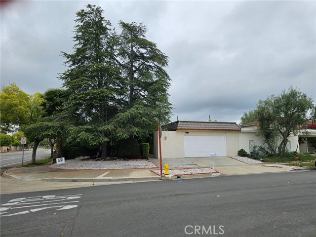 20 Norton St