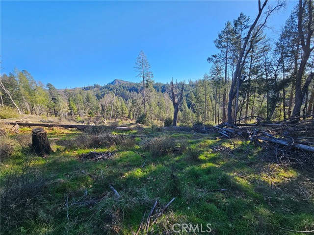 Detail Gallery Image 7 of 12 For 13680 Andover, Magalia,  CA 95954 - – Beds | – Baths