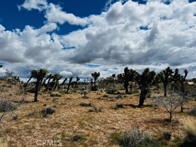 Detail Gallery Image 16 of 16 For 57864 Sunflower Dr, Yucca Valley,  CA 92284 - – Beds | – Baths