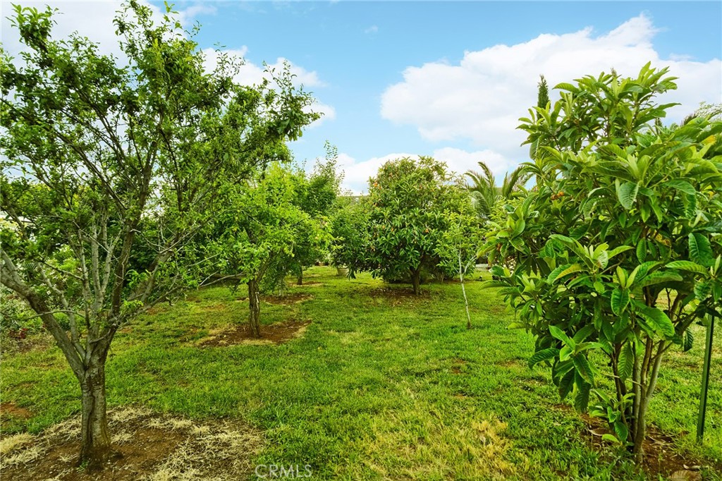 https://media.crmls.org/medias/0d459260-d922-4898-9009-3011caadb2f6.jpg?preset=X-Large