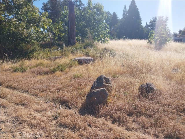 5775 Waco Lane Lane, Paradise CA: https://media.crmls.org/medias/0d459a0c-a837-4002-8006-235b31e036af.jpg