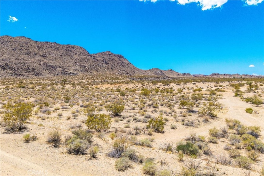 MLS #JT25107809 image #18