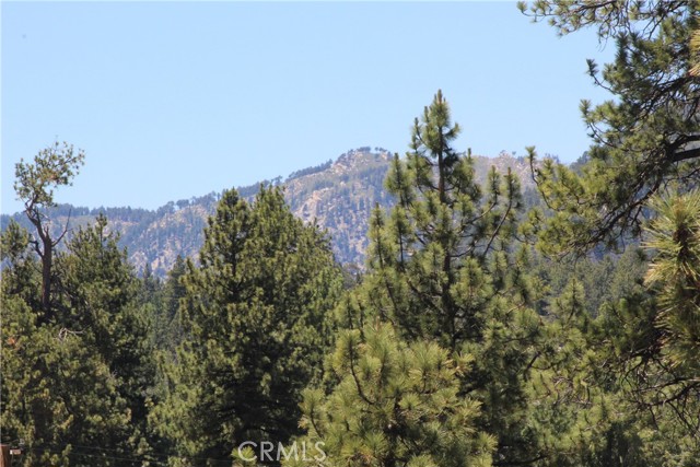 39933 Deer, Big Bear Lake, CA 92315