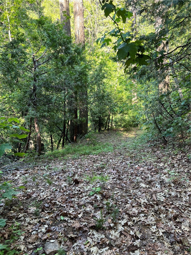 https://media.crmls.org/medias/0d5abb3f-41c5-4140-a112-7226b427c856.jpg?preset=X-Large