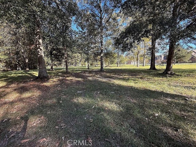 Detail Gallery Image 4 of 13 For 26430 Clyde Blount Rd, –,  LA 70754 - – Beds | – Baths