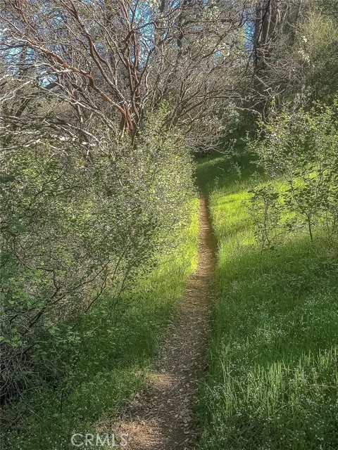 Detail Gallery Image 14 of 43 For 4743 Buffalo Gulch Rd, Midpines,  CA 95345 - – Beds | – Baths