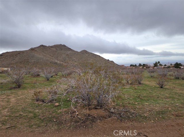 0 Roanoke Road, Apple Valley CA: https://media.crmls.org/medias/0d5f91d0-6bd7-4085-b23b-4e5e8e516376.jpg