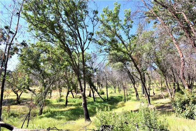 197 Edgehill Drive, Oroville, California 95966, ,Land,For Sale,197 Edgehill Drive,CROR22073384