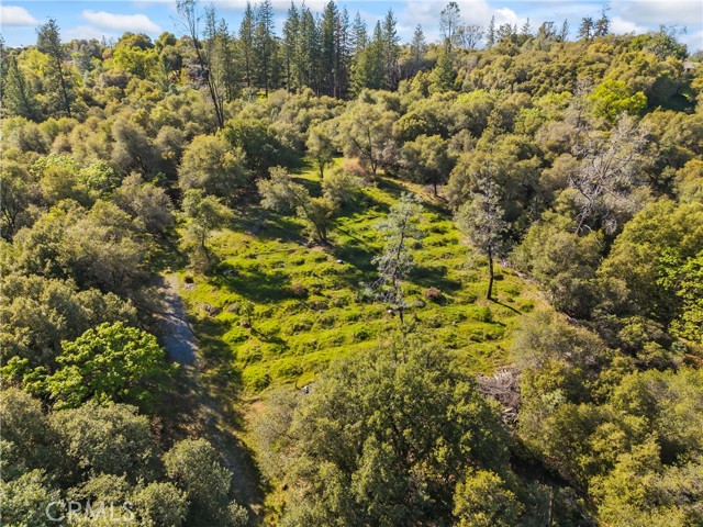 Detail Gallery Image 4 of 32 For 1371 Moccasin Trl, Placerville,  CA 95667 - – Beds | – Baths