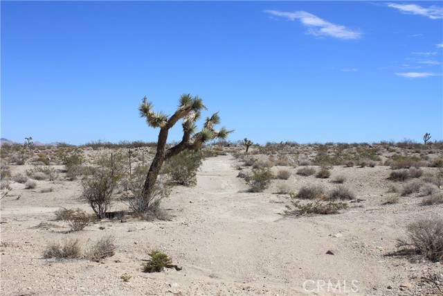 Detail Gallery Image 32 of 71 For 769 Meridian Rd, Lucerne Valley,  CA 92356 - – Beds | – Baths