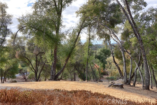 Detail Gallery Image 45 of 59 For 3692 Manzanita Rd, Mariposa,  CA 95338 - 3 Beds | 2 Baths