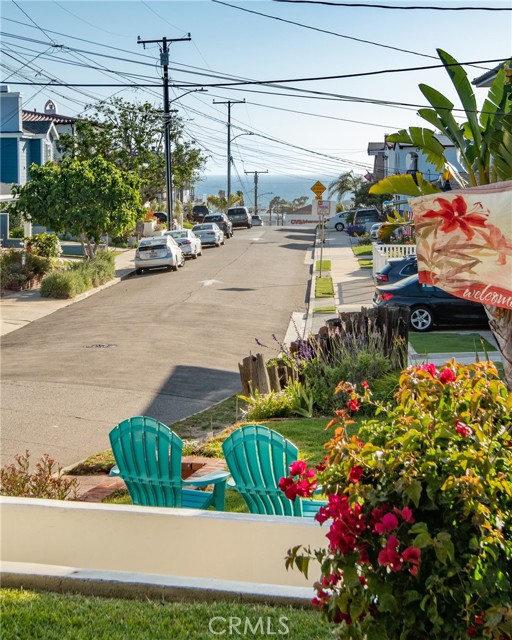 Front Yard View