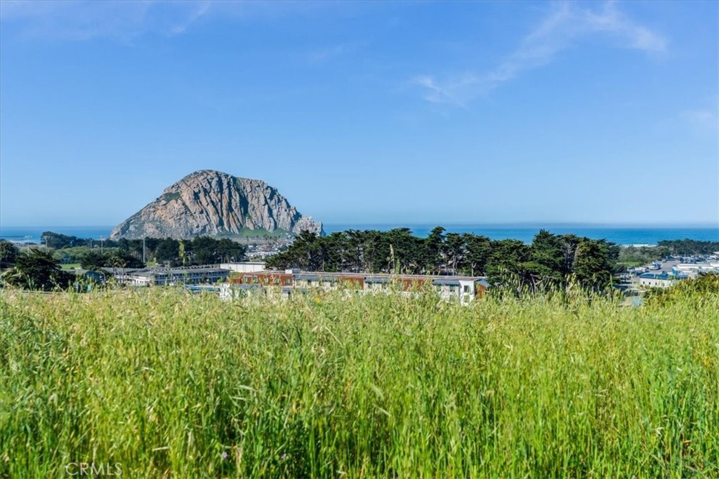 https://media.crmls.org/medias/0d70dfea-04db-4ffd-8b4f-0717efb04535.jpg?preset=X-Large
