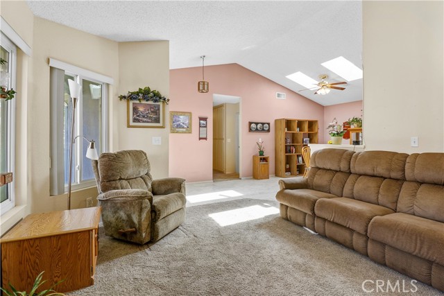 Living room abundant natural light