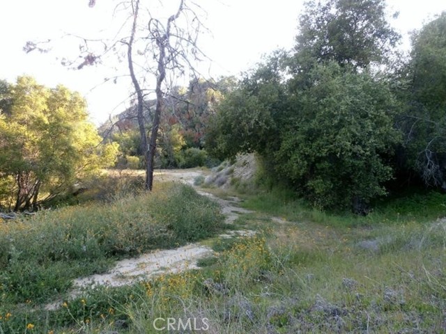 Detail Gallery Image 4 of 64 For 37 Lynx Ln, Prather,  CA 93651 - – Beds | – Baths