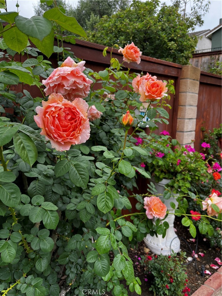 https://media.crmls.org/medias/0d79a406-ba91-4244-896d-b770b916f527.jpg?preset=X-Large