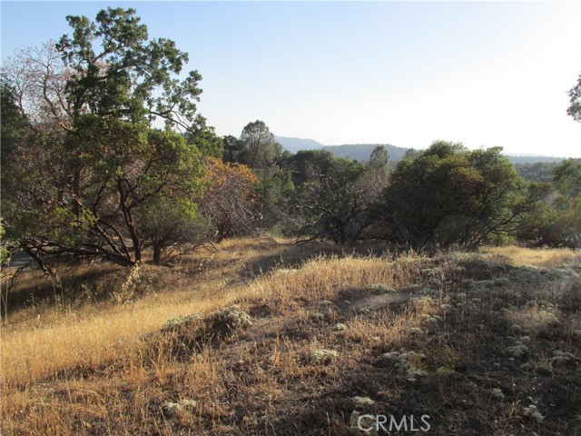 Detail Gallery Image 27 of 54 For 2 Ac Old Oaks Ct, North Fork,  CA 93643 - – Beds | – Baths