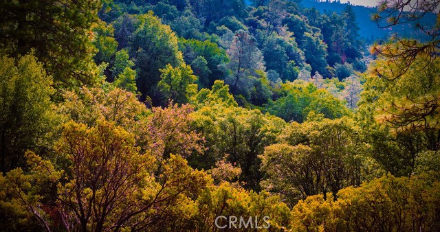 https://media.crmls.org/medias/0d7d2993-4456-4a4f-9cef-d424434ed535.jpg?preset=X-Large