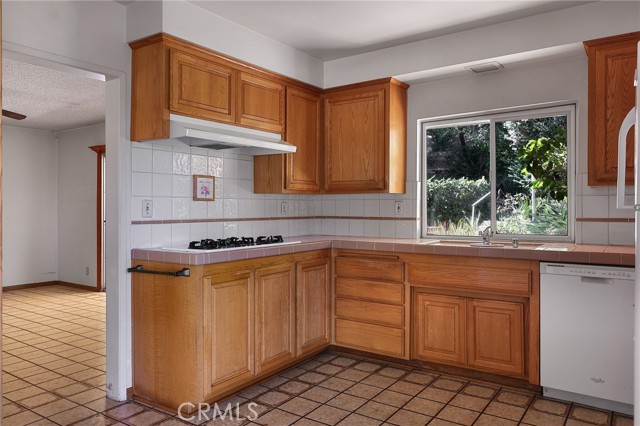 3433 Green Vista Drive photo 14