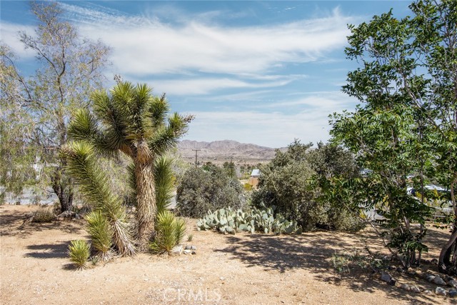 Detail Gallery Image 5 of 30 For 61585 Crest Circle Dr, Joshua Tree,  CA 92252 - 3 Beds | 1 Baths