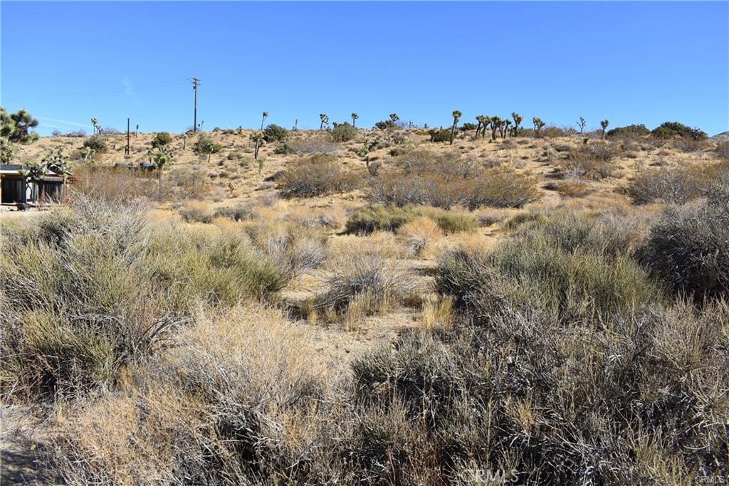 MLS #SR25223222 image #3