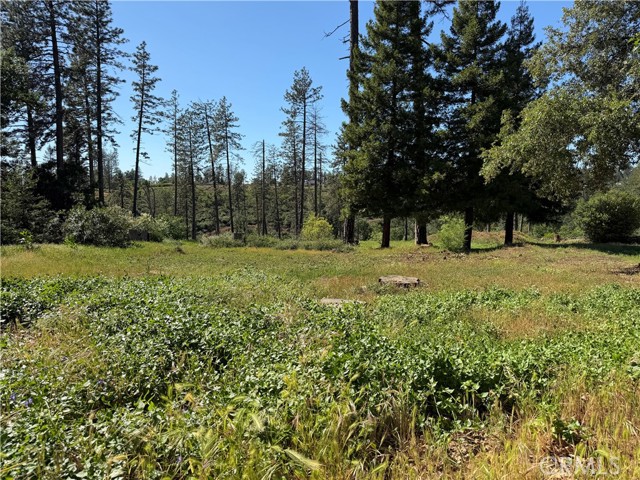 Detail Gallery Image 4 of 4 For 5665 Chaney, Paradise,  CA 95969 - – Beds | – Baths