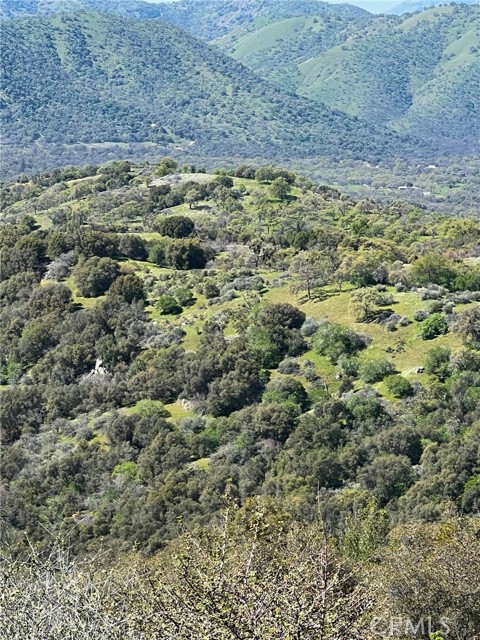 Detail Gallery Image 73 of 74 For 44981 Todd Eymann Rd, Miramonte,  CA 93641 - 1 Beds | 1 Baths
