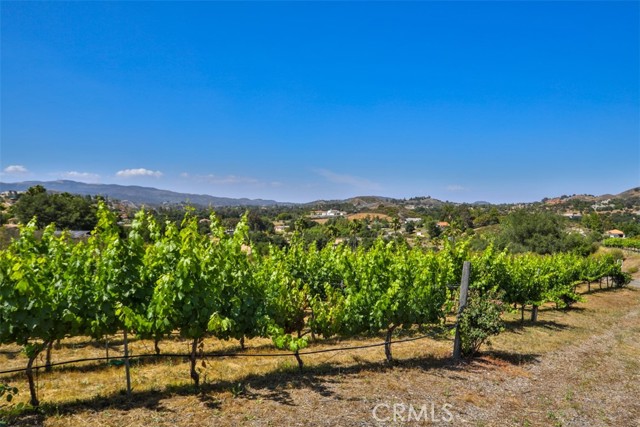 0 Via Herradura, Murrieta CA: https://media.crmls.org/medias/0d959be0-517e-4359-b8af-60bffdb50de5.jpg