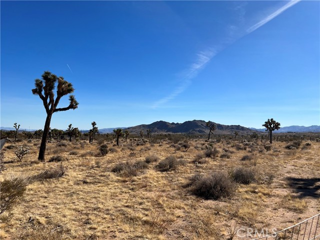 Detail Gallery Image 6 of 23 For 59347 Aberdeen Dr, Yucca Valley,  CA 92284 - – Beds | – Baths