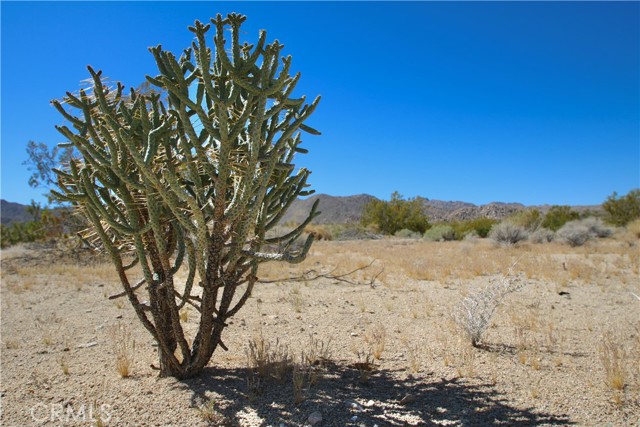 Detail Gallery Image 19 of 19 For 66400 29 Palms Hwy, Joshua Tree,  CA 92252 - – Beds | – Baths